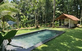 Pool - The Humming Trees, Pala Lalam