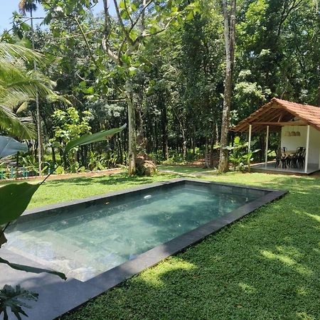 Pool Villa - The Humming Trees, Pala Lalam ภายนอก รูปภาพ